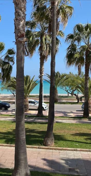 3-bedroom With Terrace On Ground Floor Apartamento Moncofa (Moncófar)