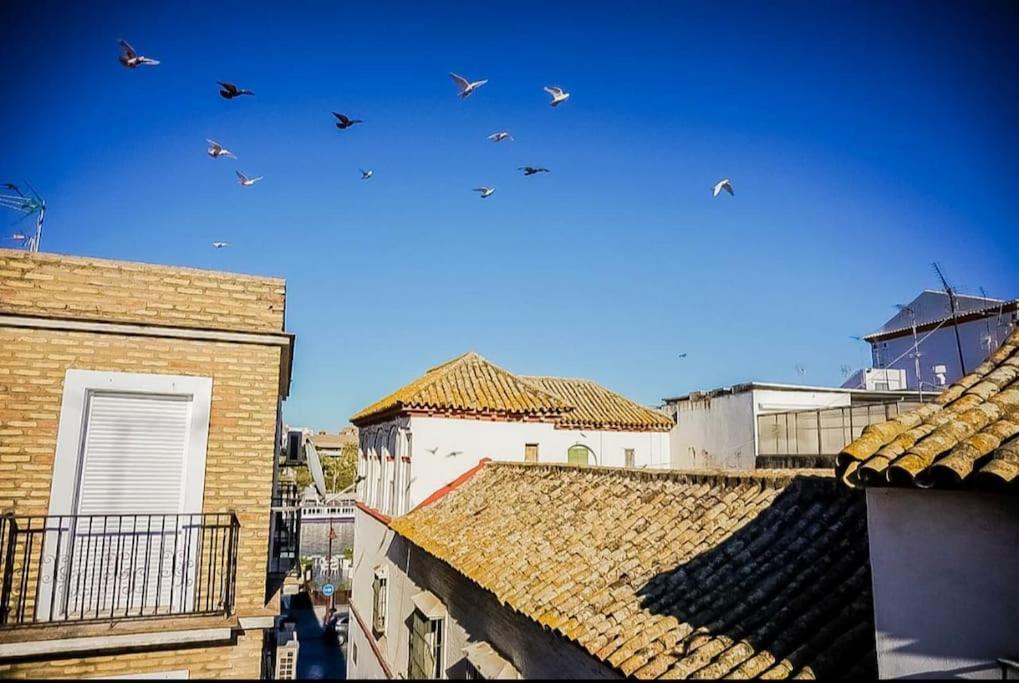 Luminoso Apartamento Centro Triana Apartment Seville