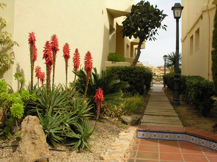 Aparthotel Villas La Manga 3* La Manga del Mar Menor