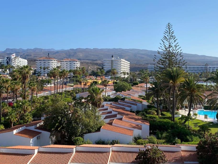 Apartamento Flamingos Nest Koka 1604 *