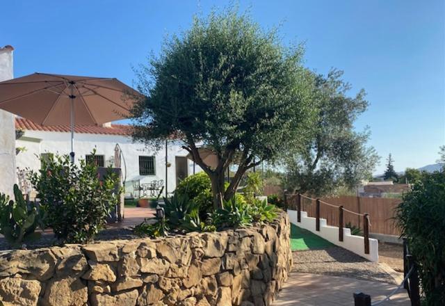 La Casa Palmera - Caminito Del Rey Apartment *