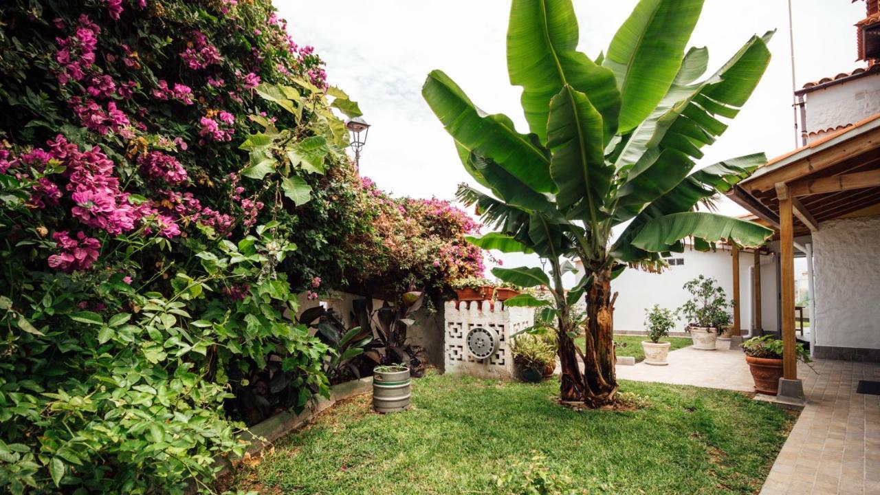 Сasa de vacaciones Casa Tulipanes &