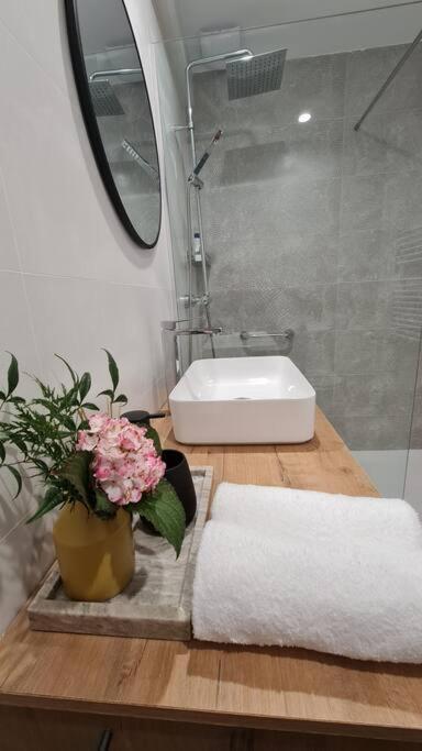 Holiday home Rosa De Ciudad. Chalet Centrico Con Mucha Intimidad Santander