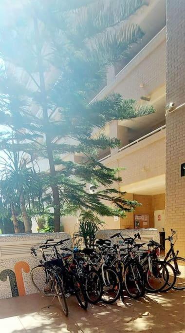 Apartamento Oropesa Del Mar- Marina D'or- Magic World Vt30371cs *