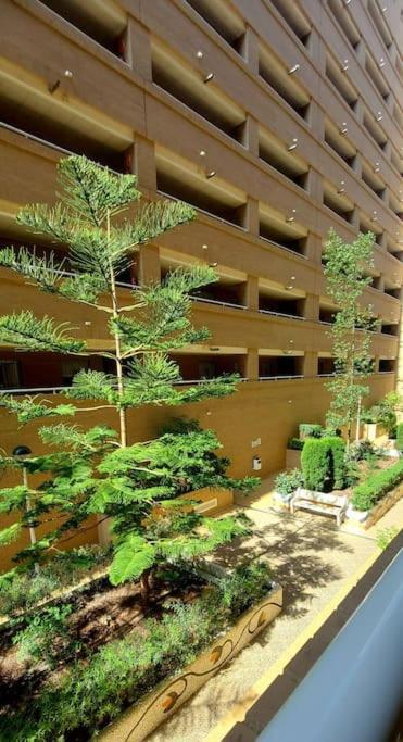 Oropesa Del Mar- Marina D'or- Magic World Vt30371cs Apartamento