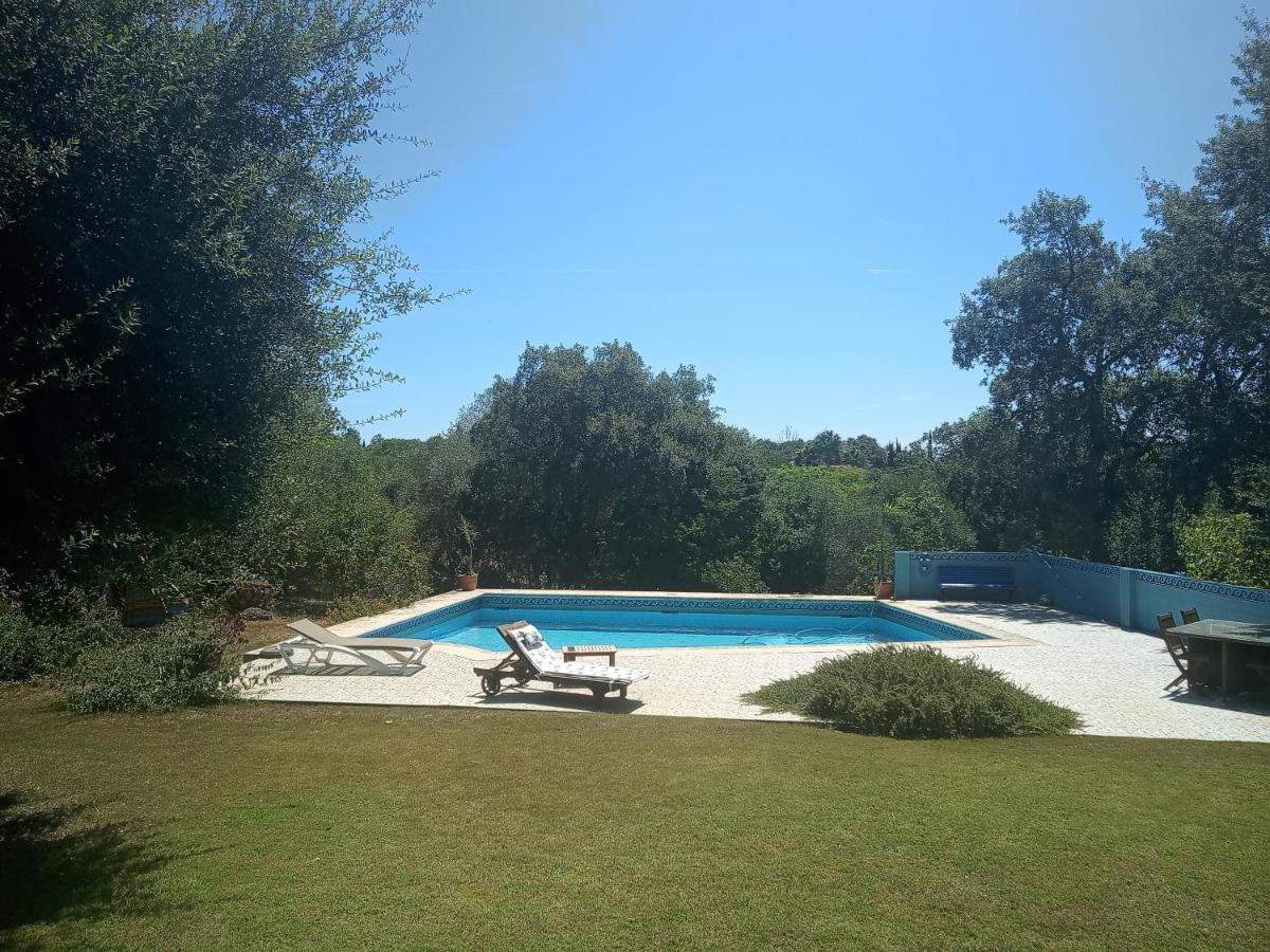 - En Plena Naturaleza - Abril Homestay Sotogrande