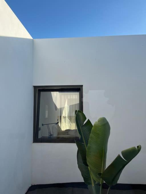 Sebas - Alisiafuerteventura Сasa de vacaciones Villaverde (Fuerteventura)