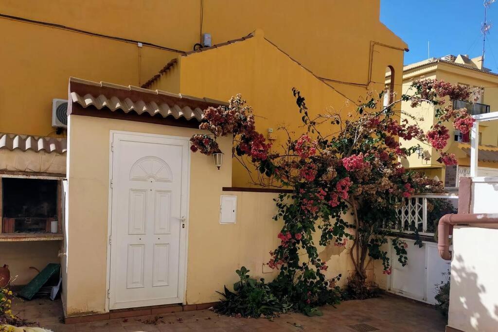 Mar Azul Adosado, Patio Y Solarium Holiday home Torrevieja