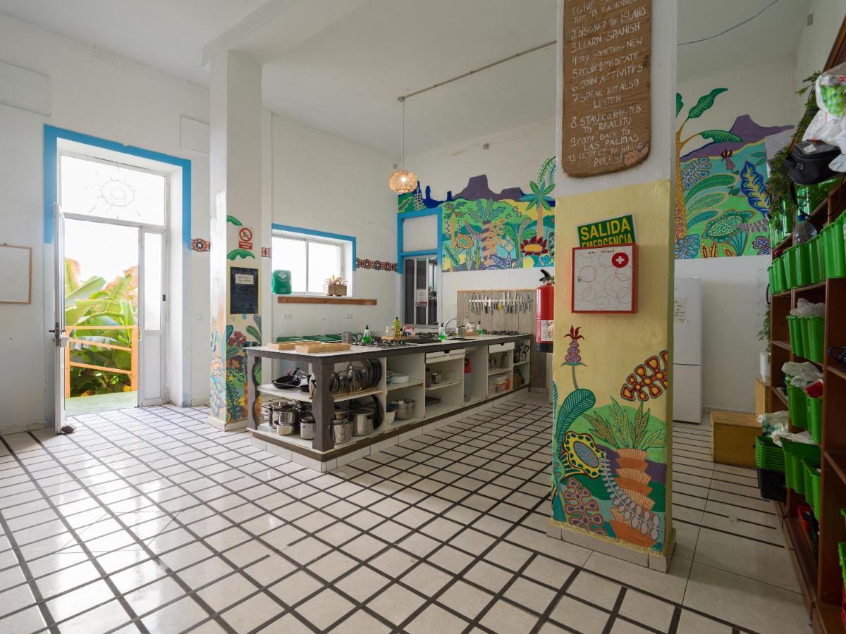 Jungle House