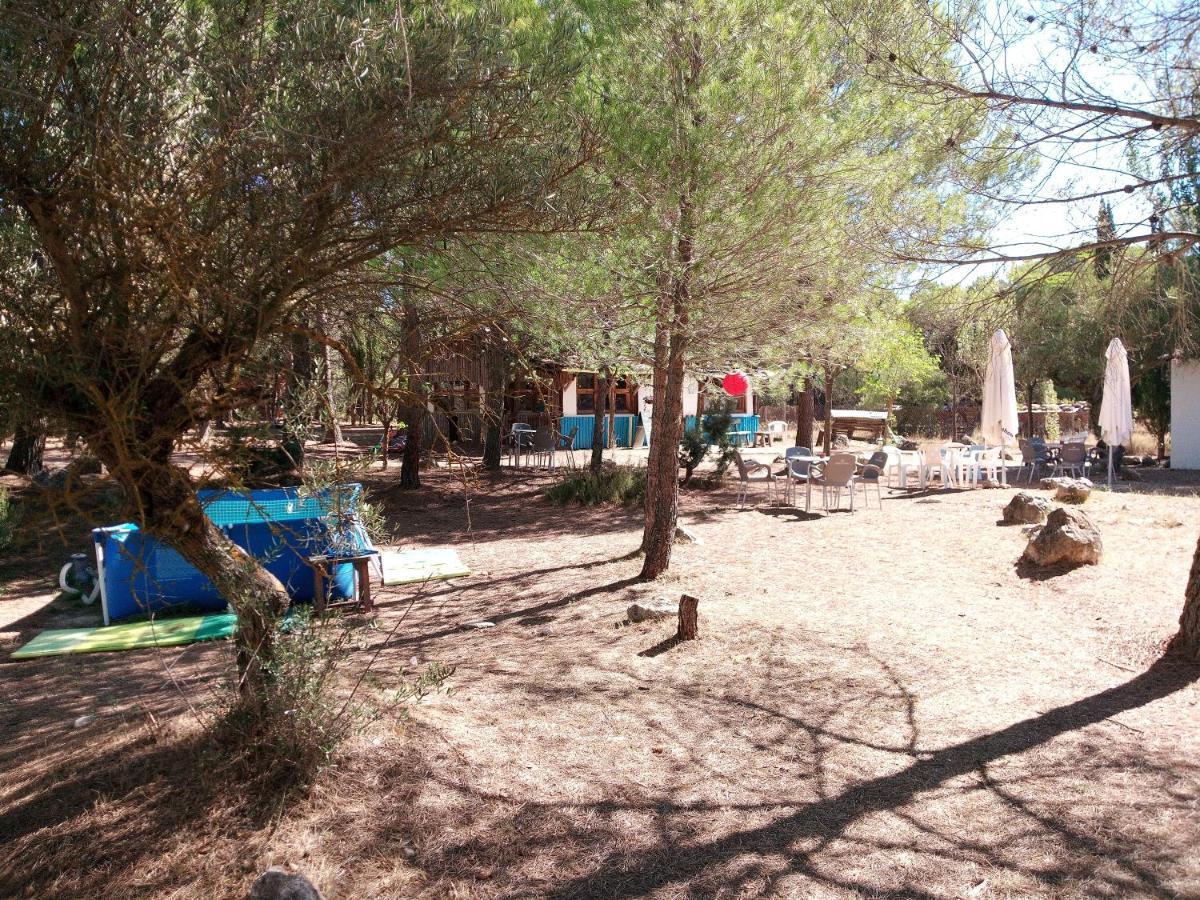 Buena Vista Hostel *