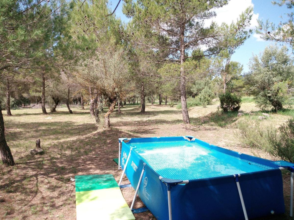 Buena Vista Cabanas Economicas