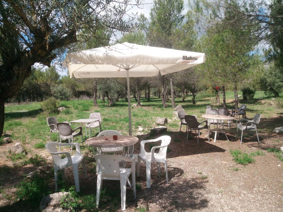 Buena Vista Cabanas Economicas