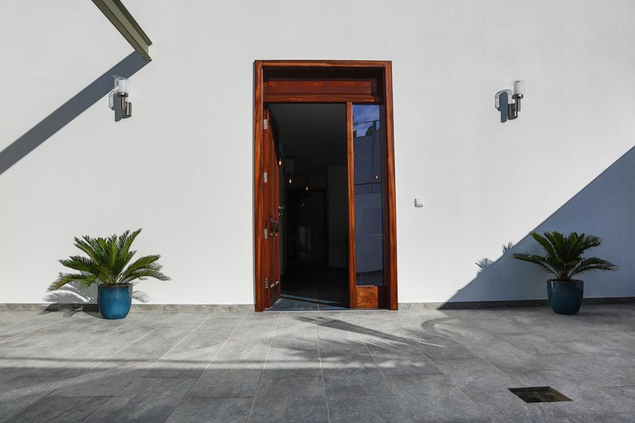 Tierra Y Mar 3 -arrecife *
