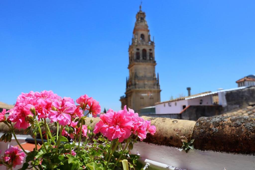 Casa Con Encanto En La Juderia De Сasa de vacaciones *