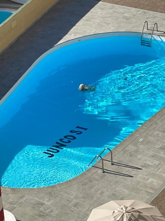 Juncos I San Bartolome de Tirajana (Gran Canaria)