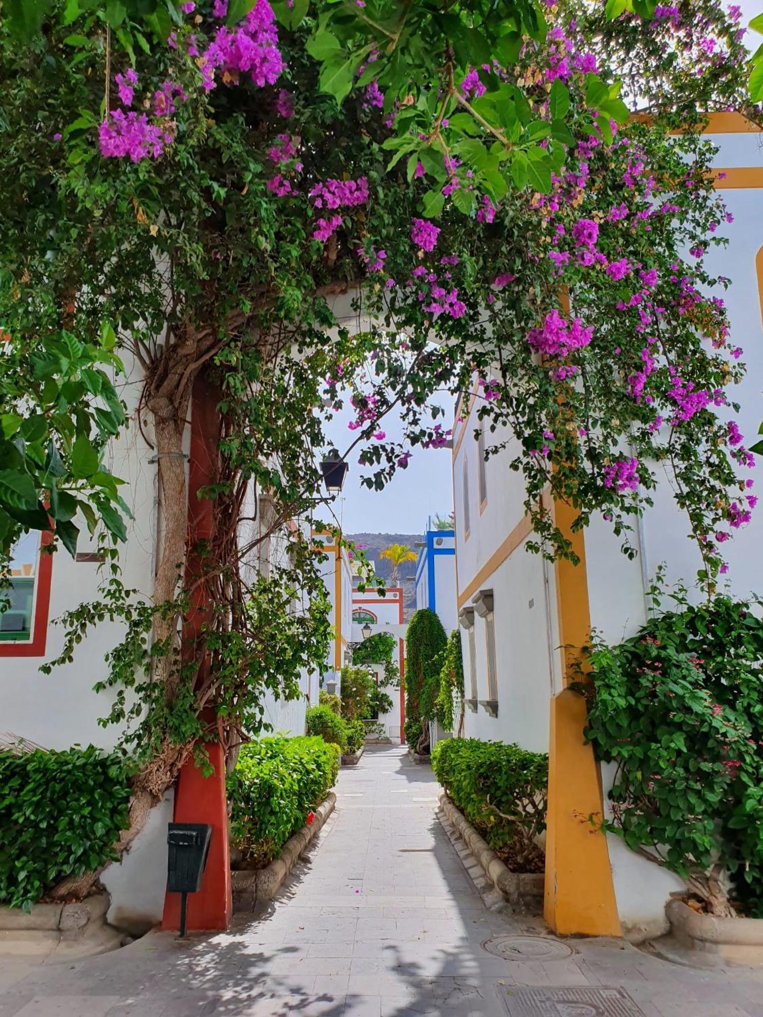 Apartamento La Venecia De Canarias *