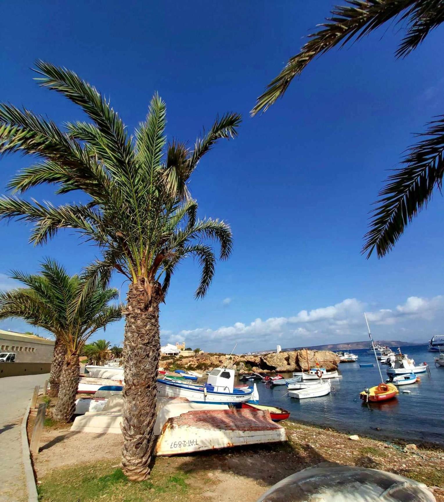 Apartament Alexandro's * Torrevieja