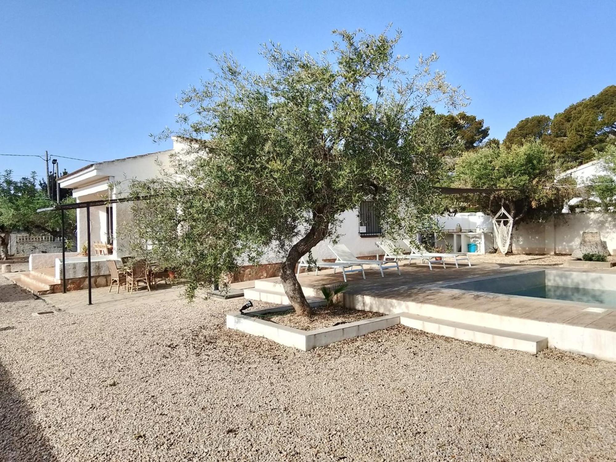 Apartment Cala Nirvana