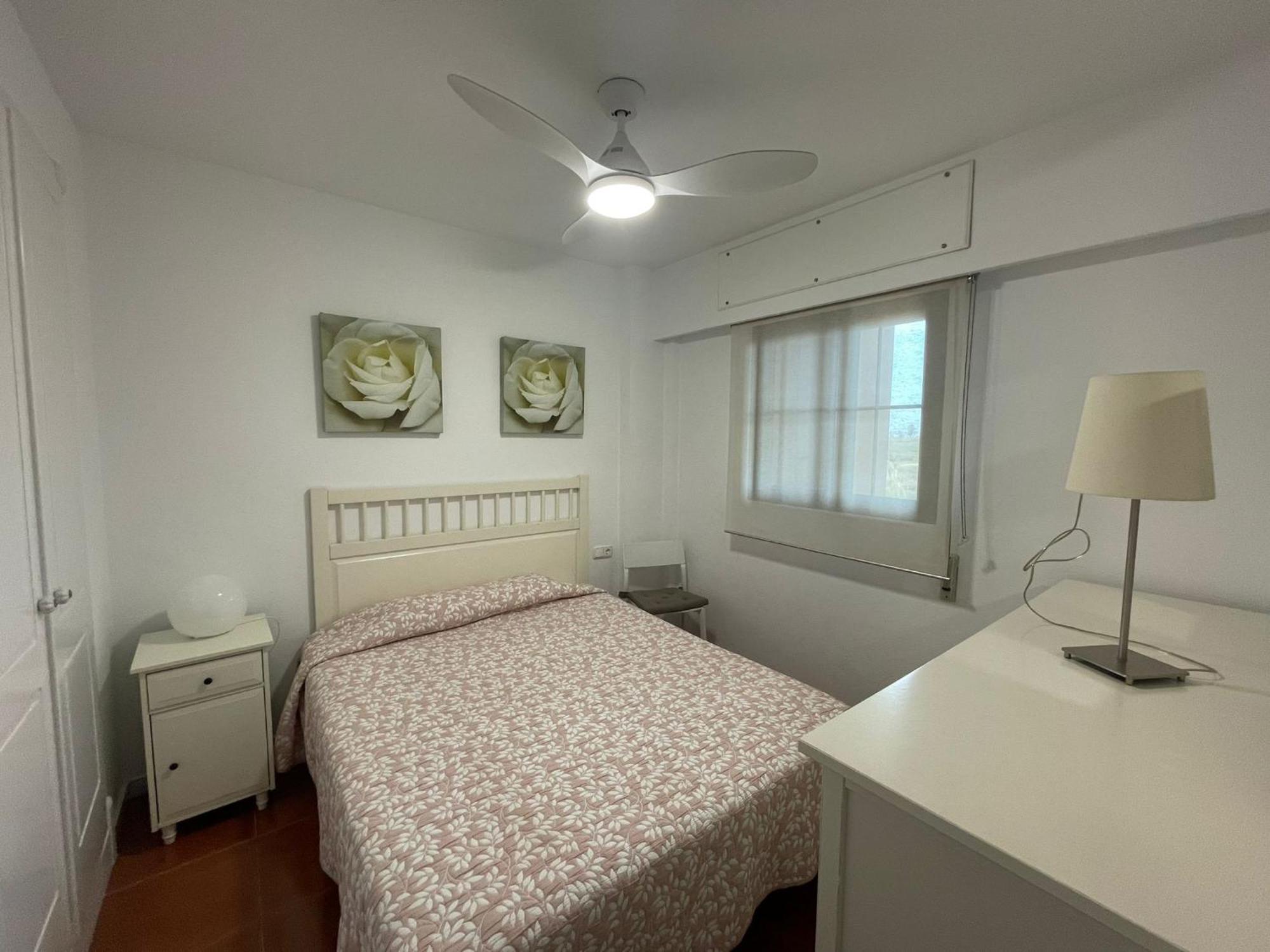 Apartamento Premium Un Alcaudon