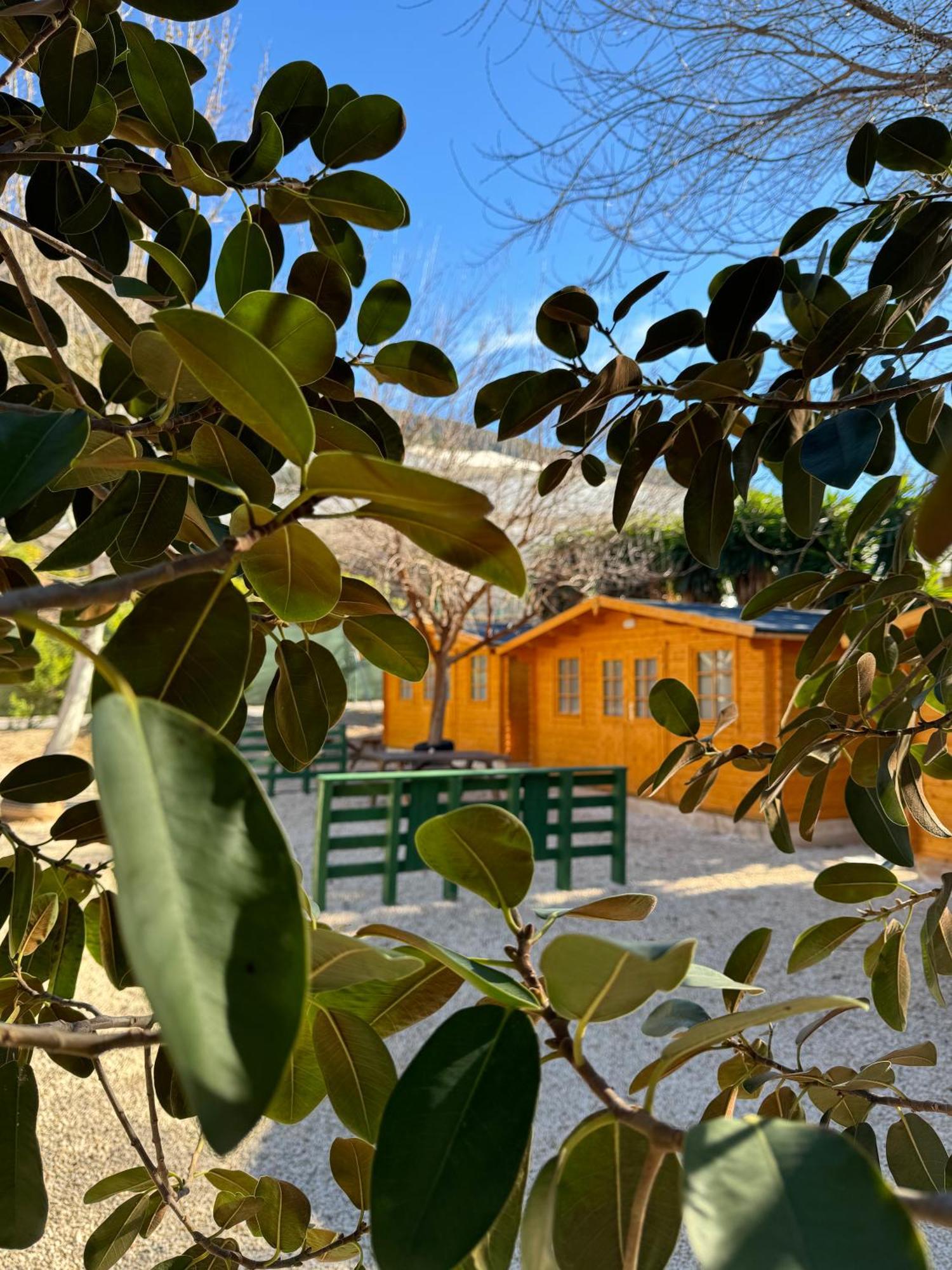 Camping Fonts Del Algar Callosa de Ensarriá