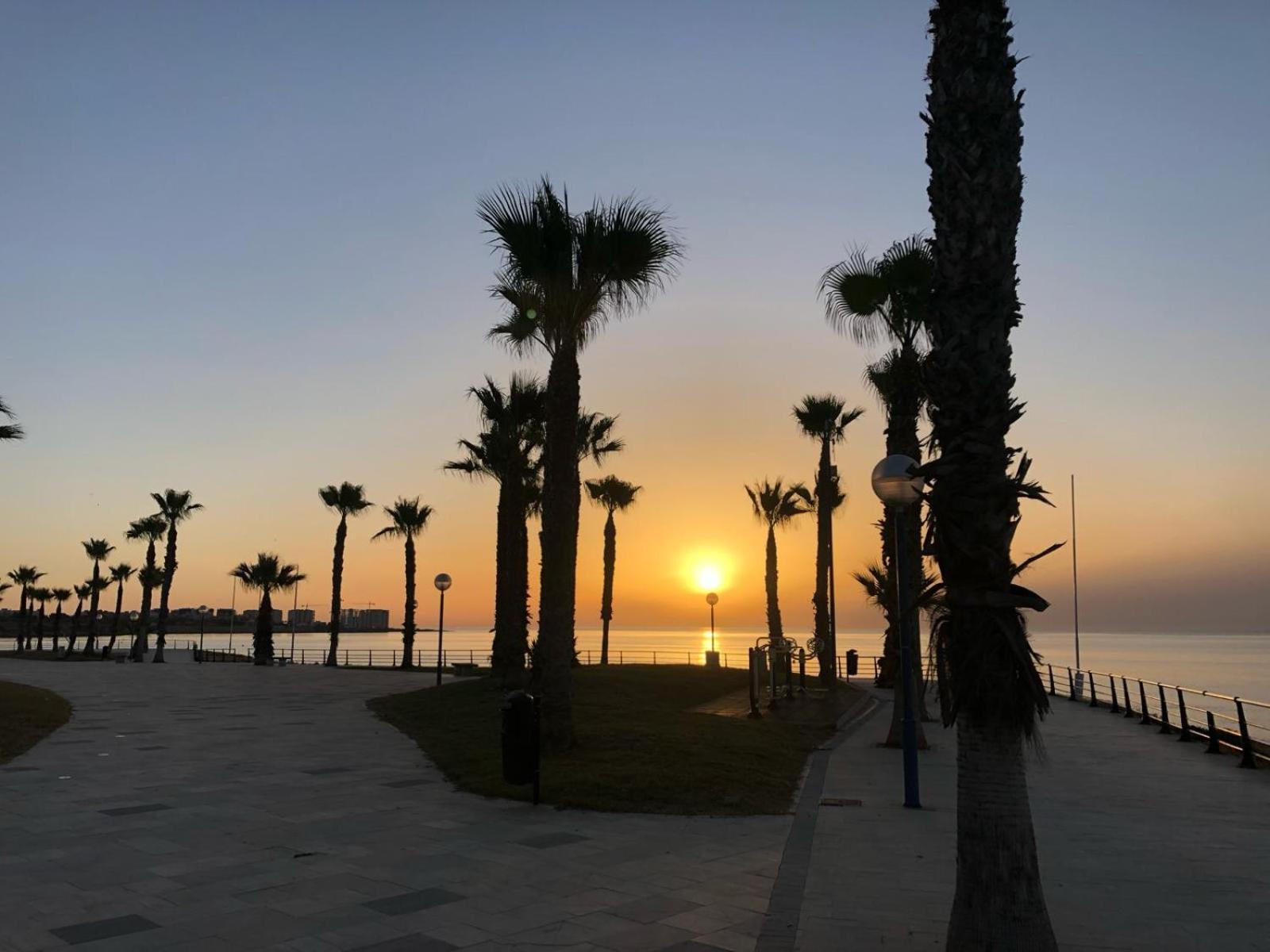 Palmview Poolside Heaven In Turquesa Del Mar *