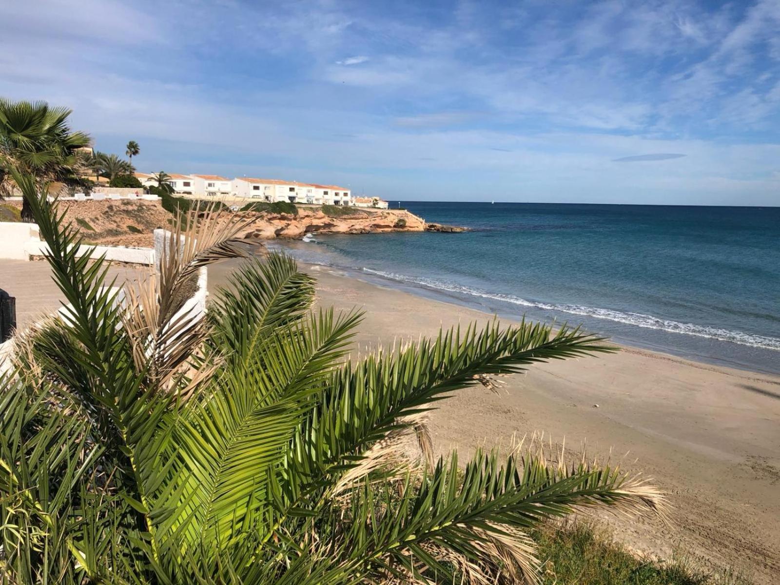 Palmview Poolside Heaven In Turquesa Del Mar Apartment *