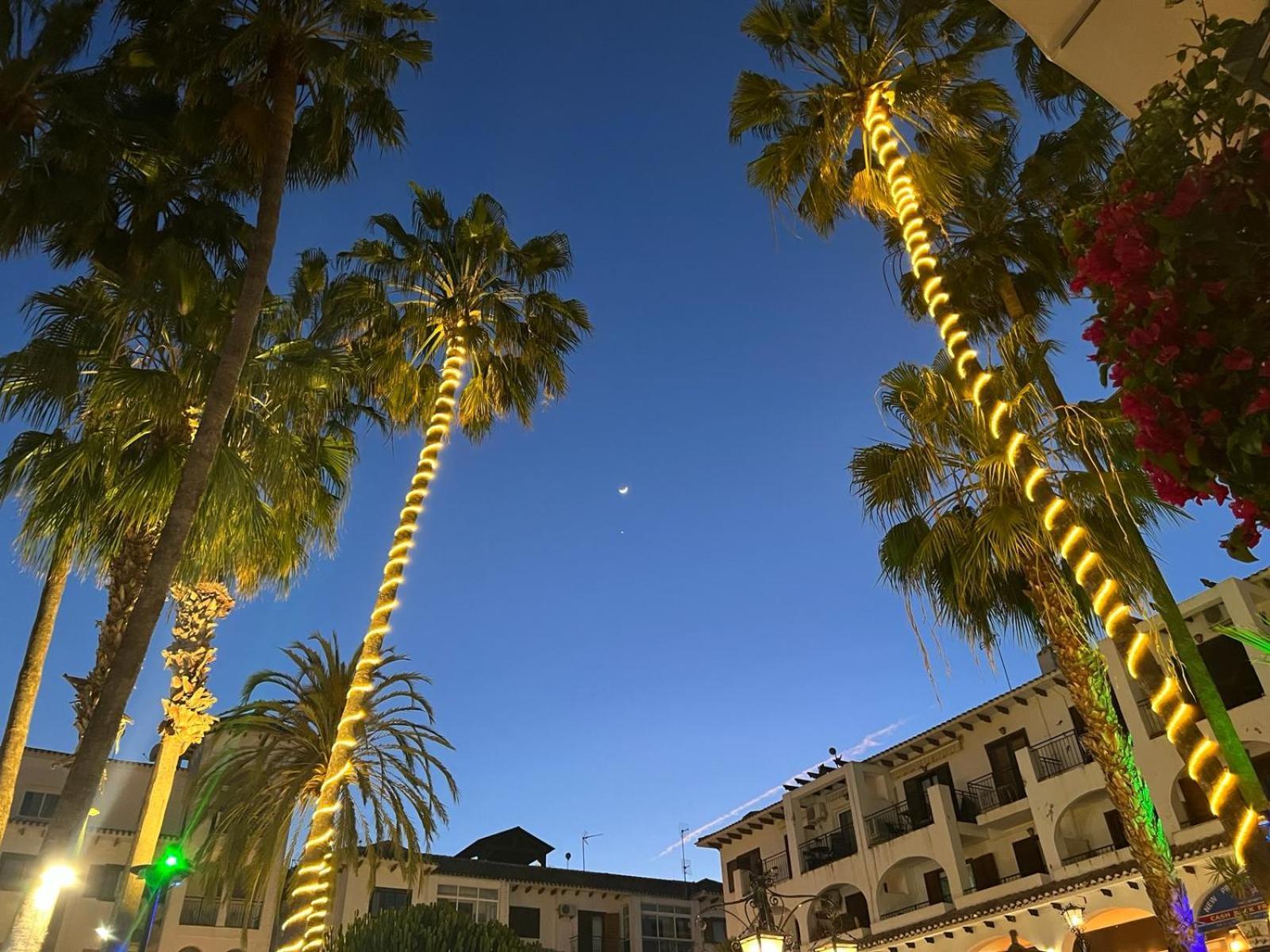 Palmview Poolside Heaven In Turquesa Del Mar Apartment Orihuela