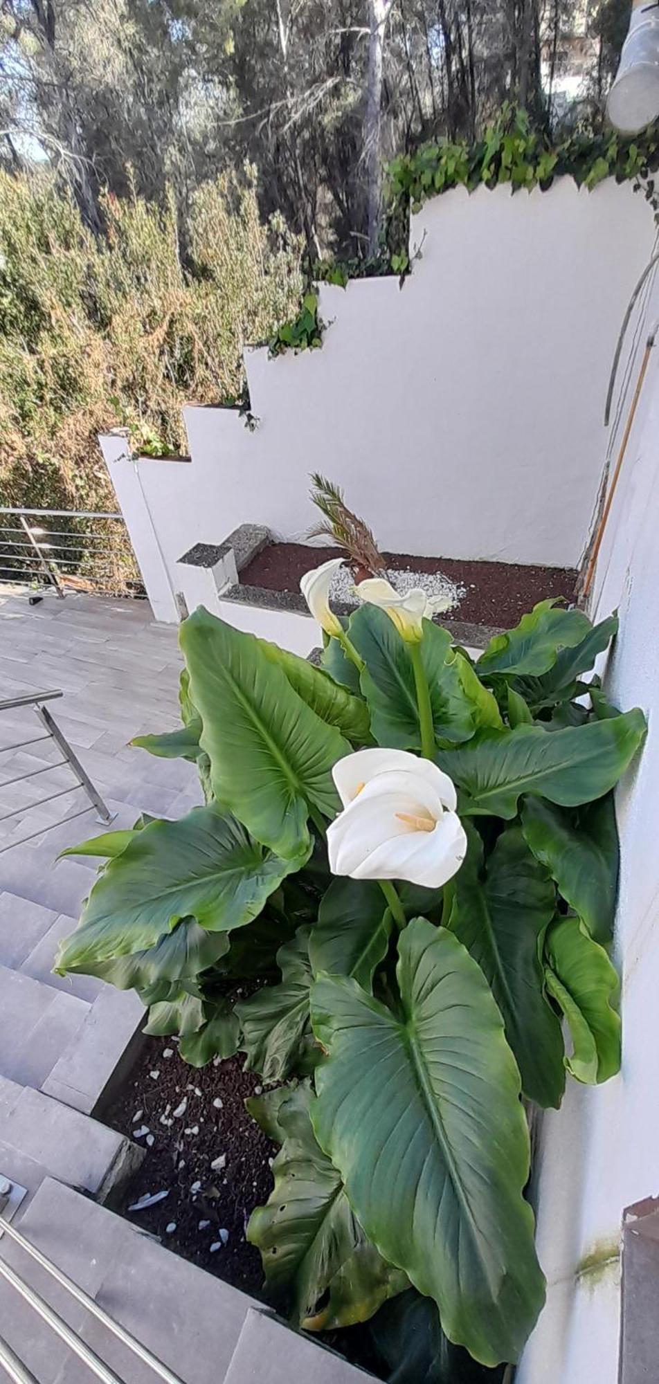 Avril Piscina Privada Y Amplias Terrazas Villa *