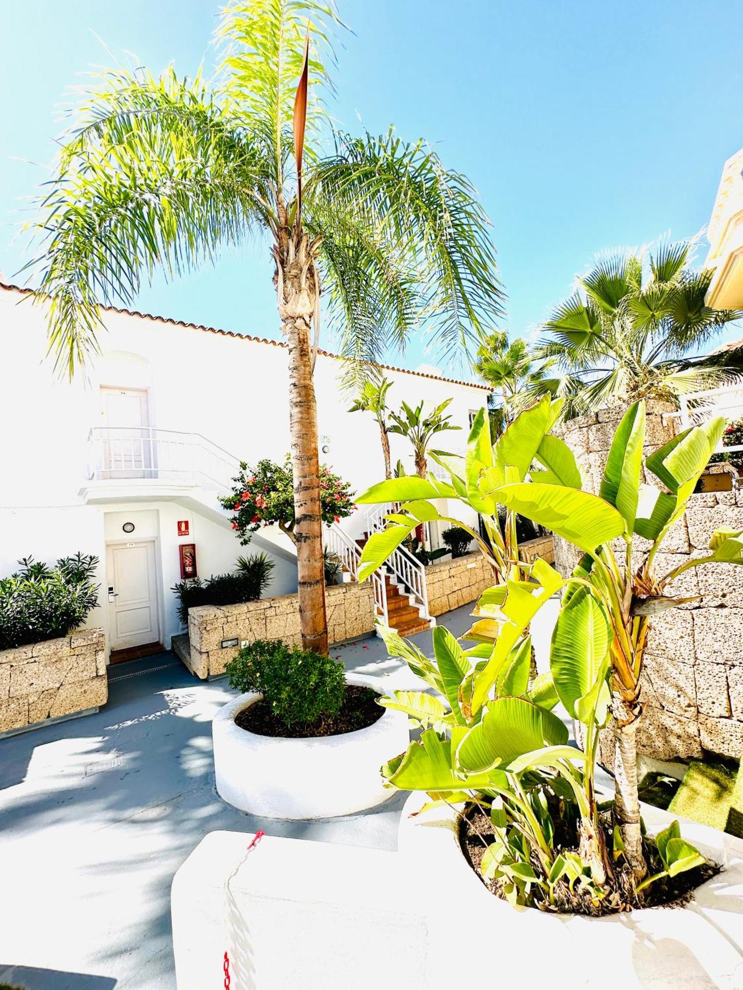 Luxury Fanabe With Private Garden Apartamento *