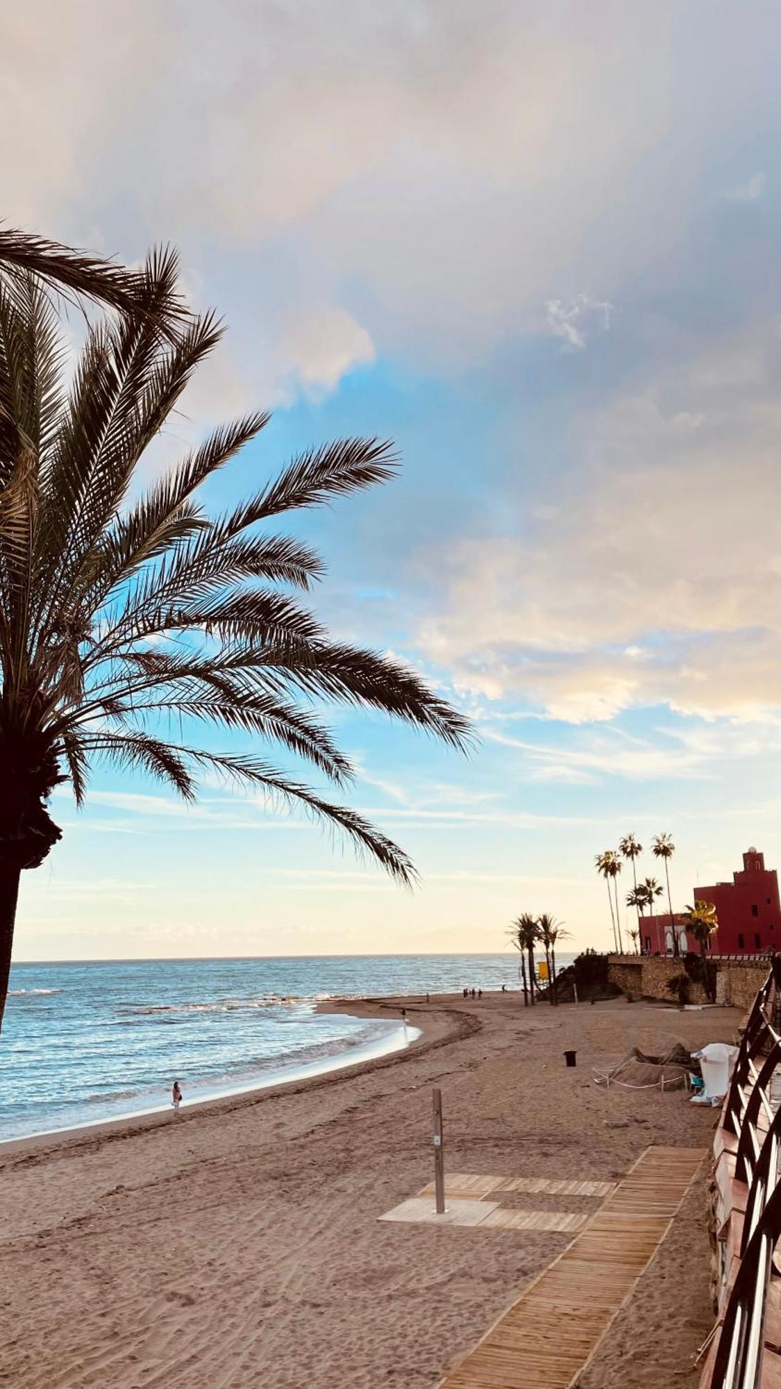 ,apartamento-estudio Primera Linea De Playa