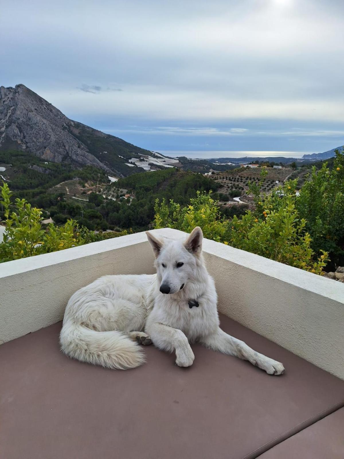 Bed & Breakfast Oliva *