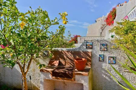 Shr035 El Algarrobo Holiday home *