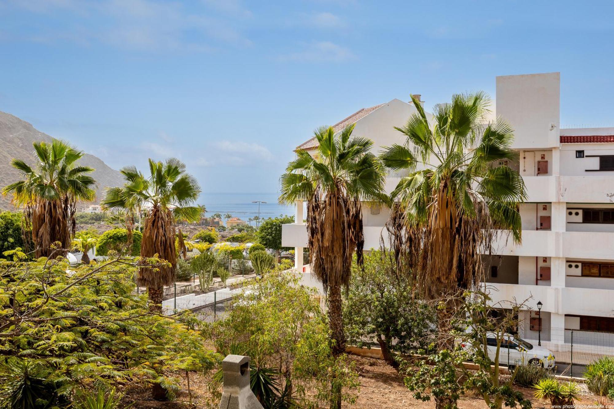 Cristianos 2 Bedroom Quiet Complex 200 Meters From The Ocean * Los Cristianos (Tenerife)
