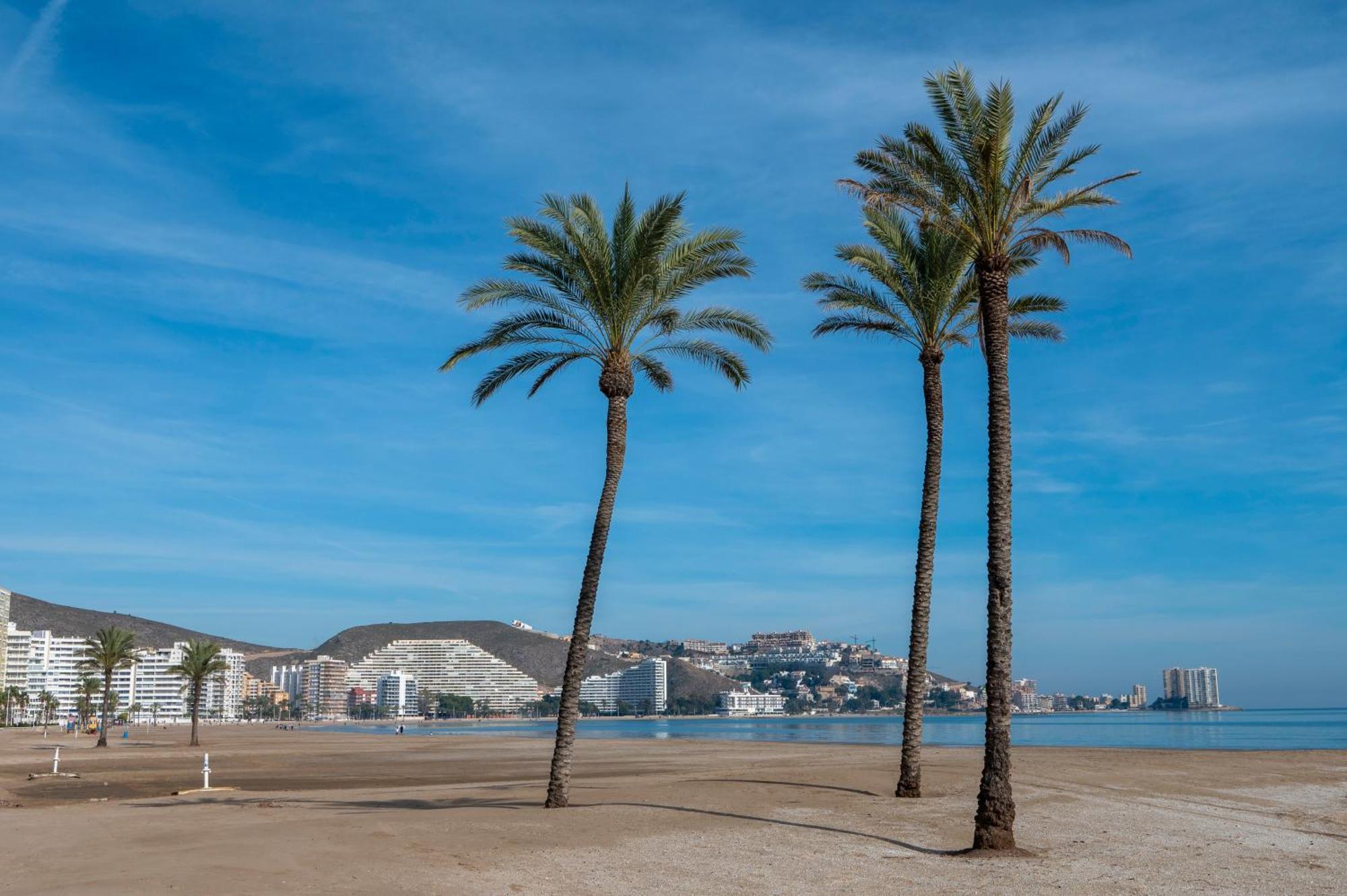 Apartamento Con Vistas Al Mar Y Piscina *