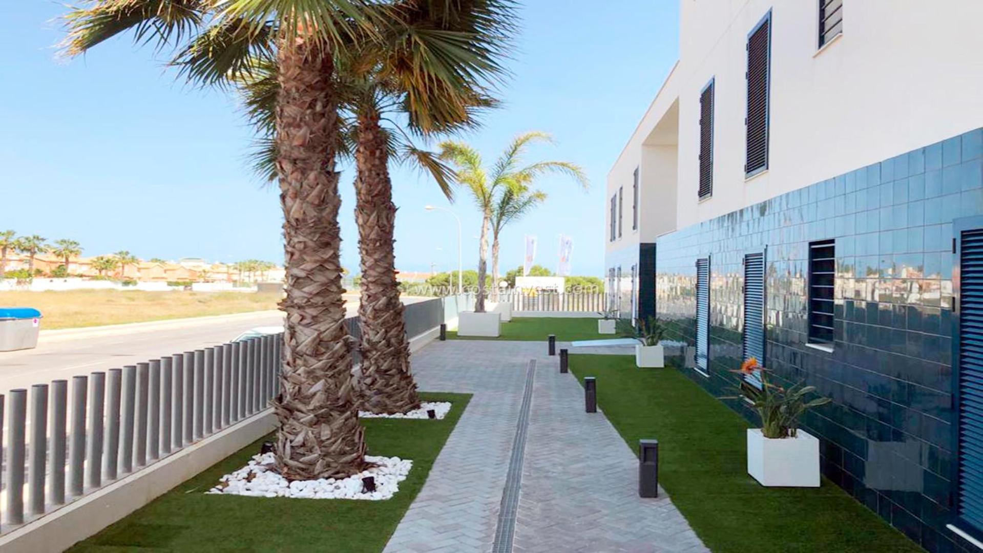 Apartment Palmview Poolside Heaven In Turquesa Del Mar *