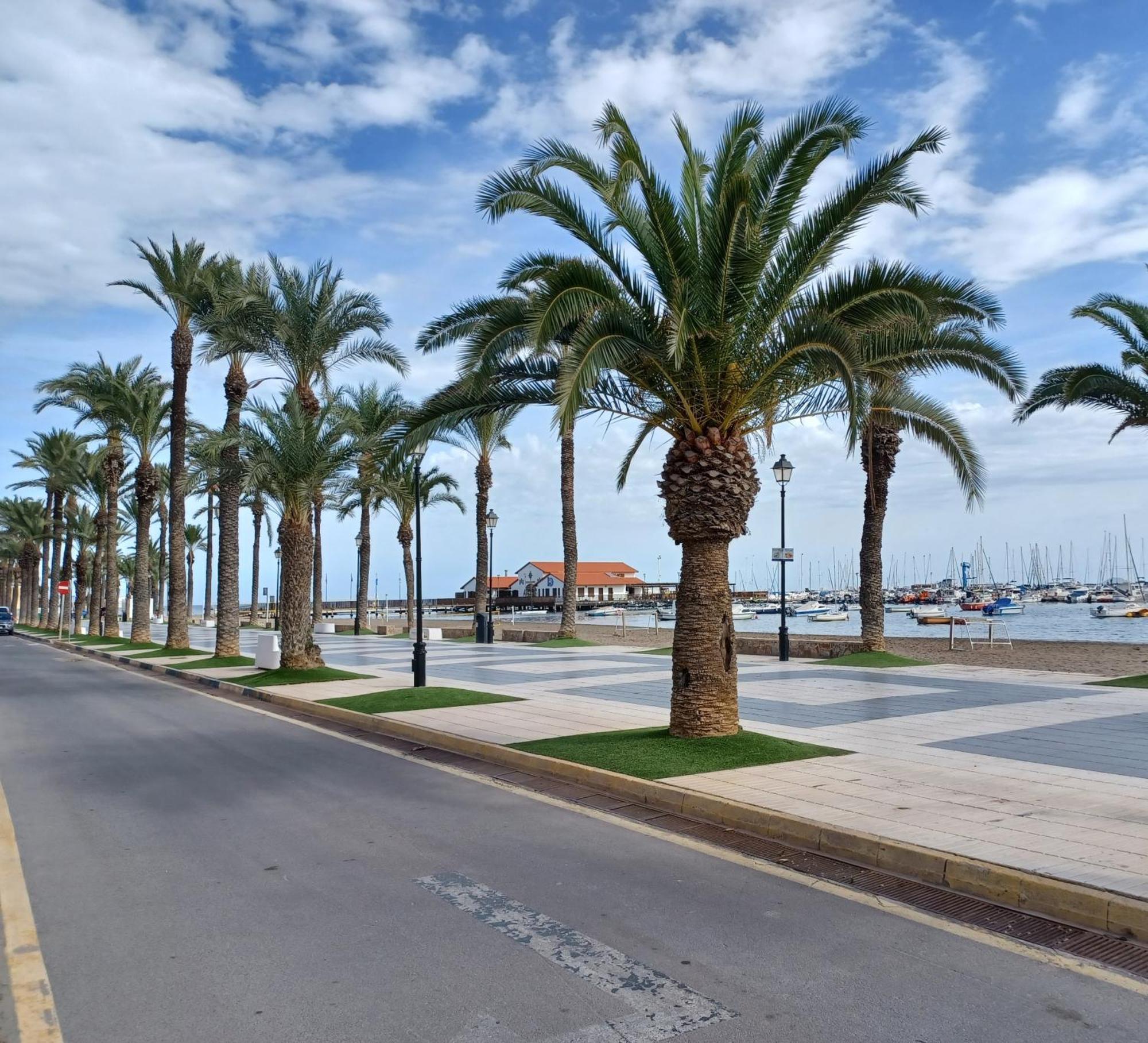 De Sol In Alcazares With 4 Bedrooms, Private Swimming Pool, Sauna And Jacuzzi. Villa