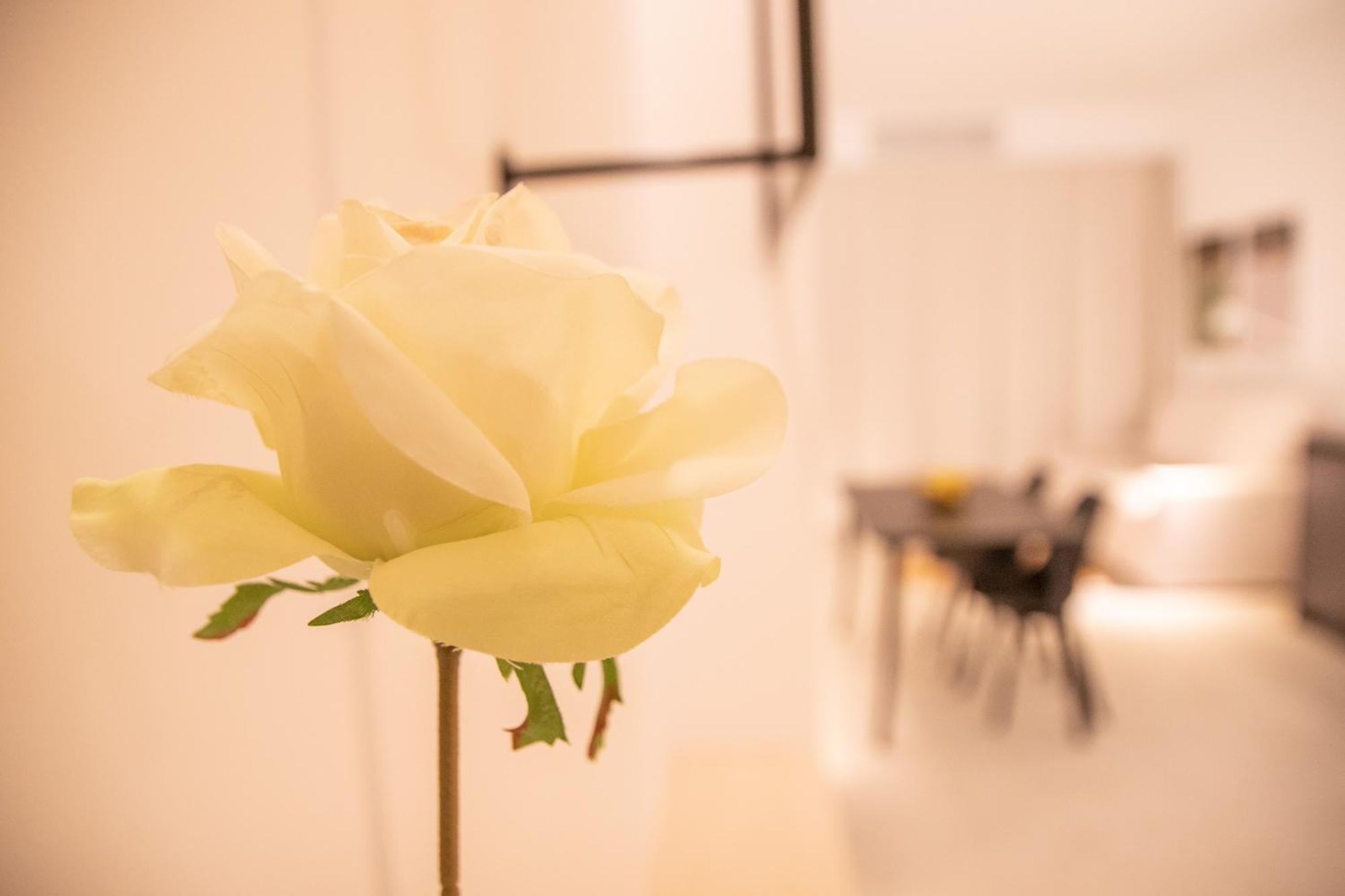 Breathe By Concept Flats Apartamento Valencia