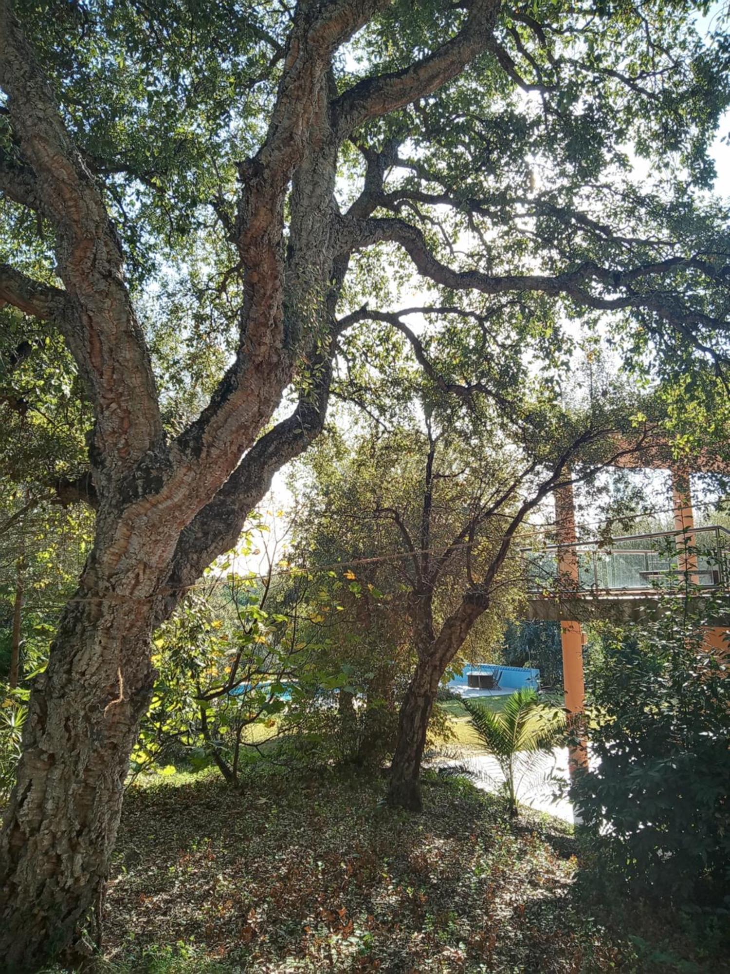 - En Plena Naturaleza - Abril * Sotogrande