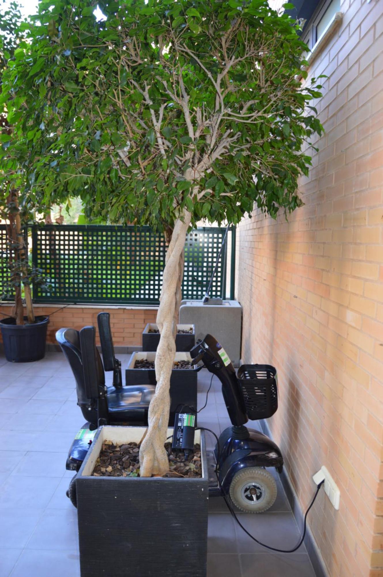Albir & Sea Apartamento *