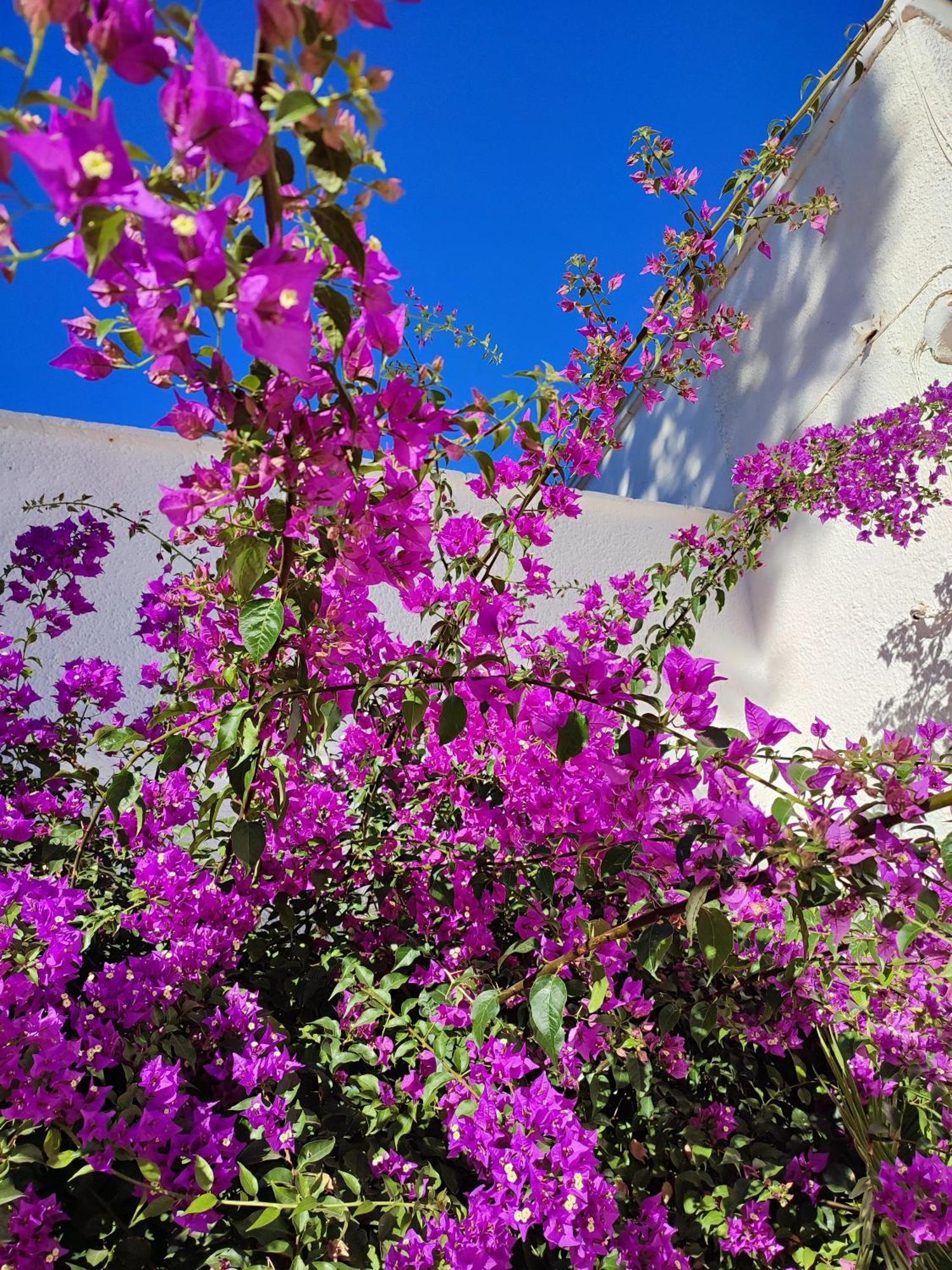 Bed & Breakfast Torre De La Campana *