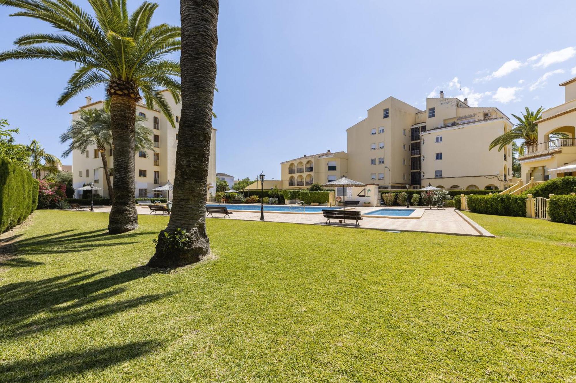 Olive Javea