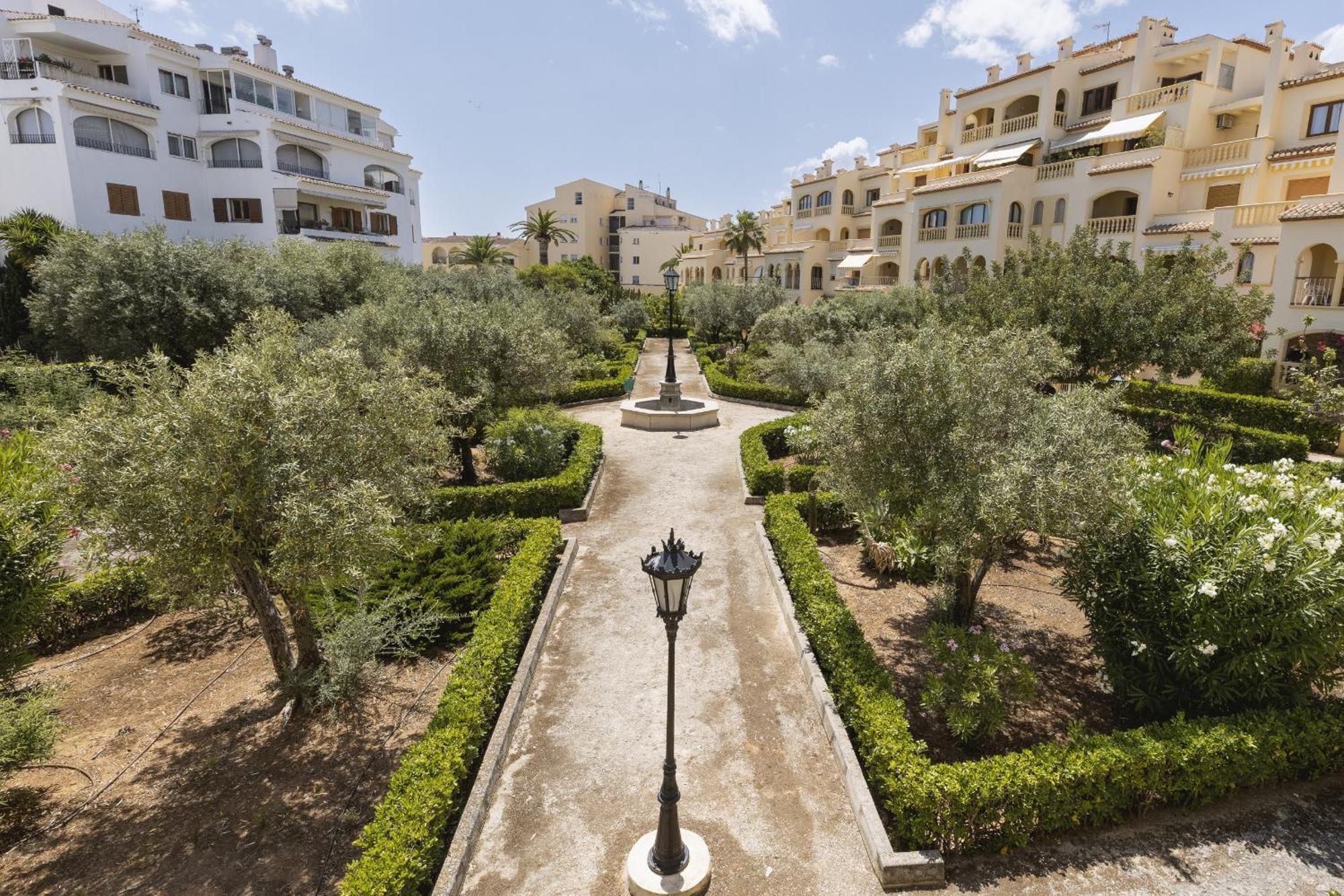 Olive Apartment *