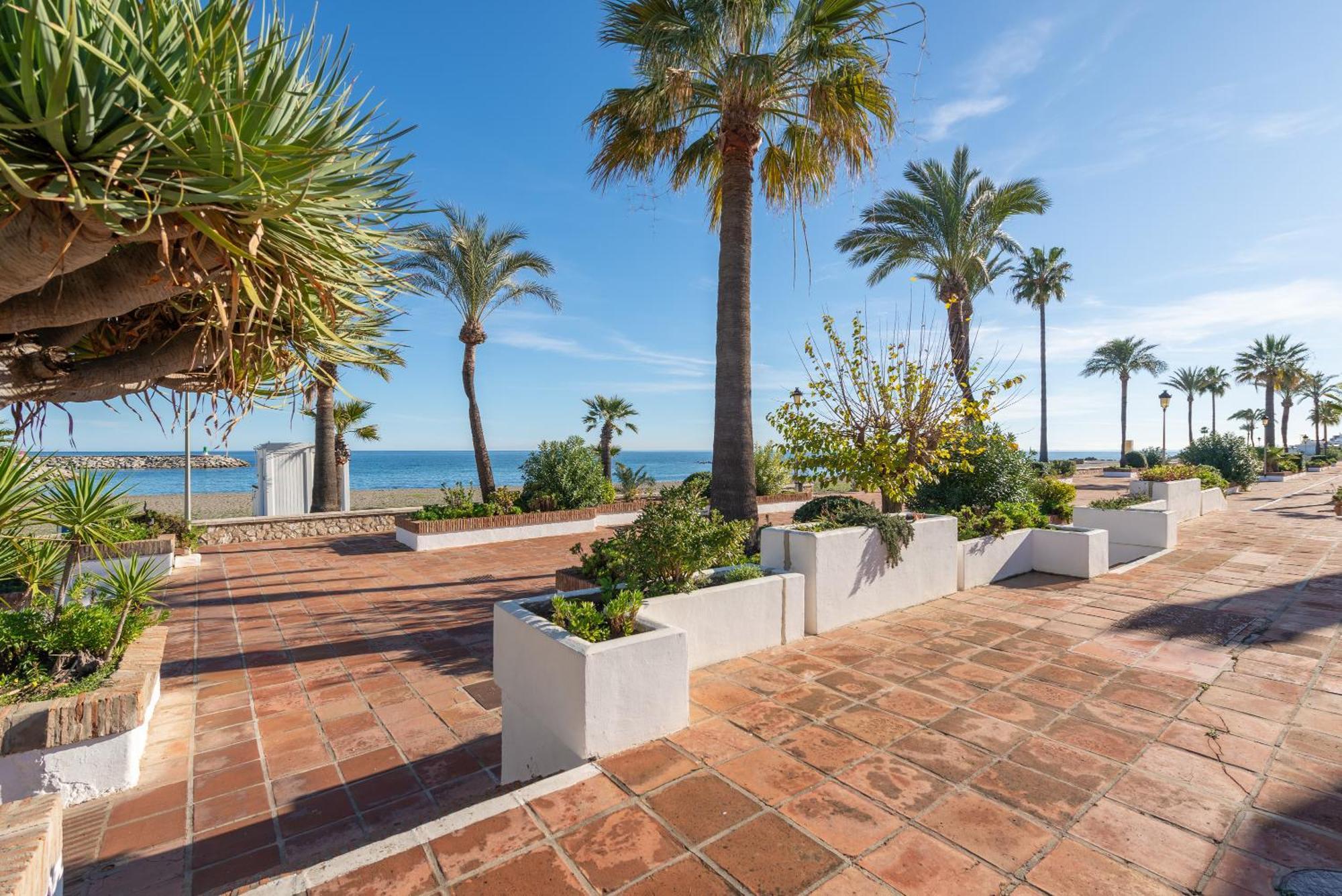 Gaviotas Apartment
