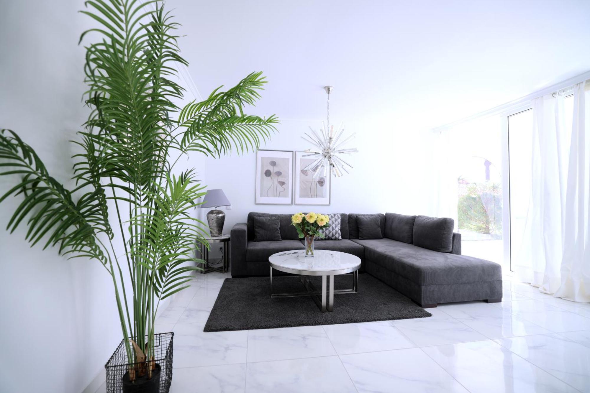 Holiday park Sun Club Playa del Ingles (Gran Canaria)