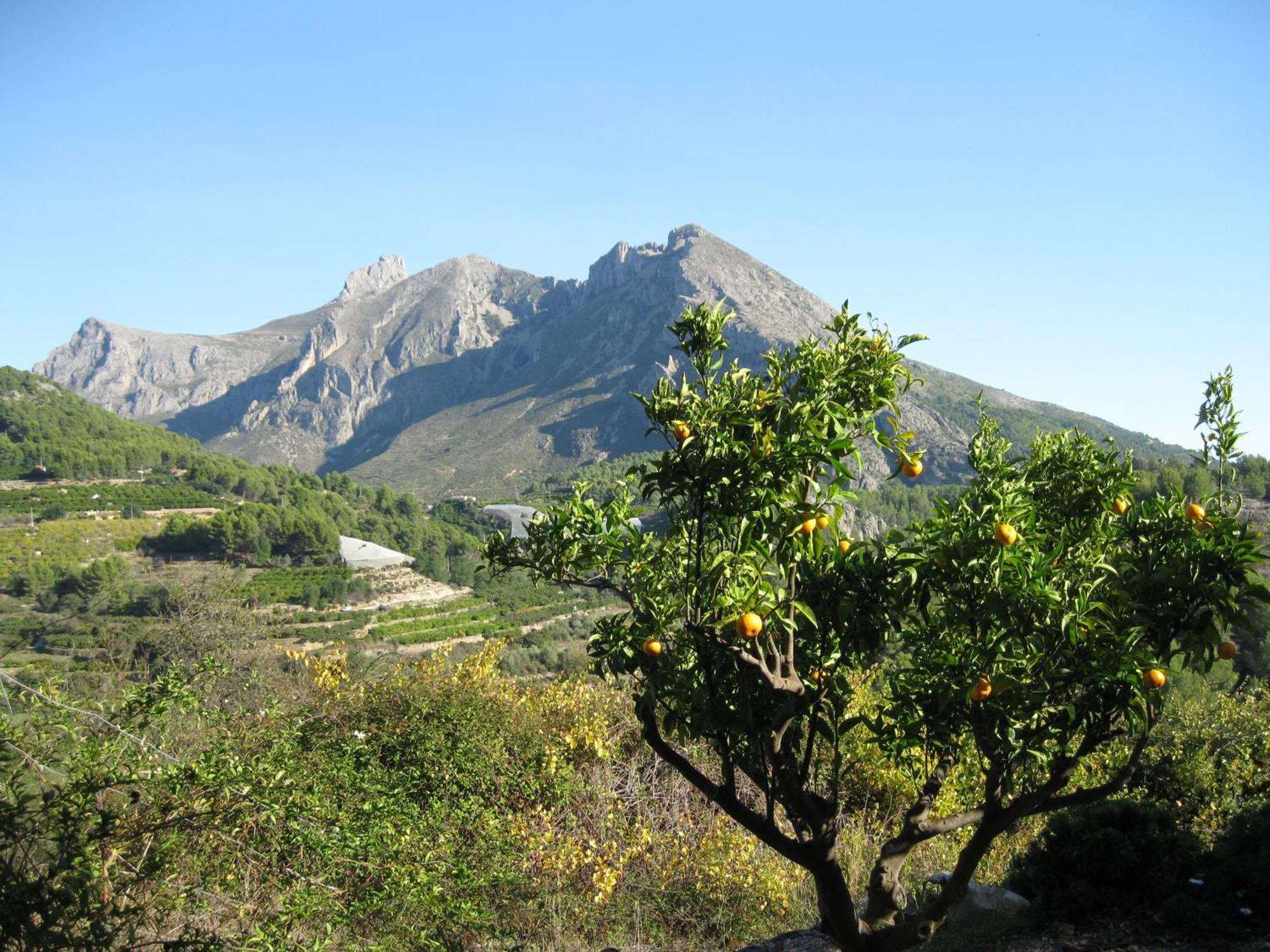 Rural Planet Bed and breakfast Bolulla