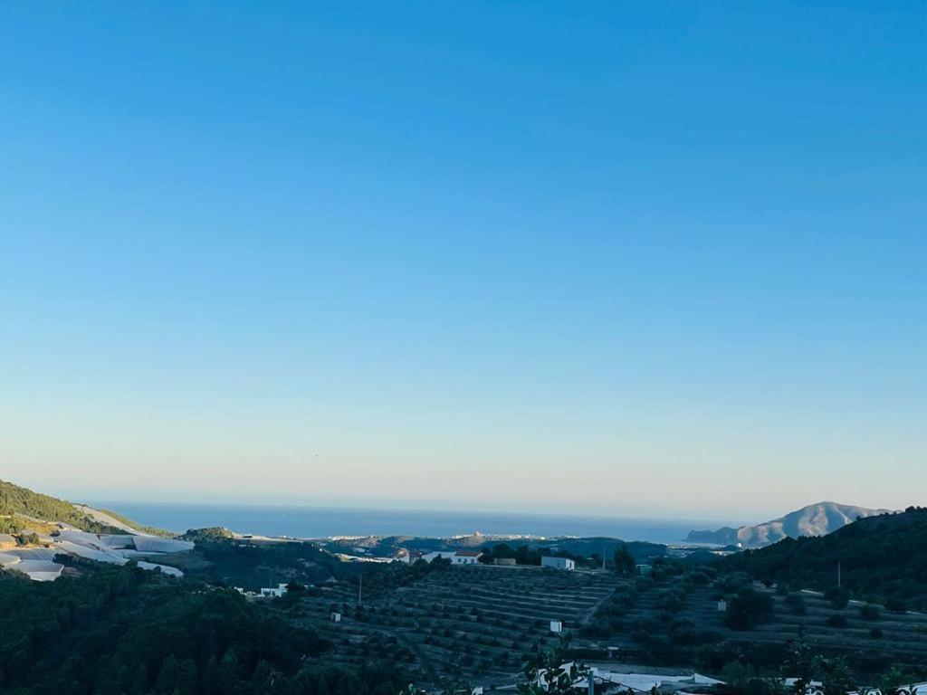 Rural Planet * Bolulla