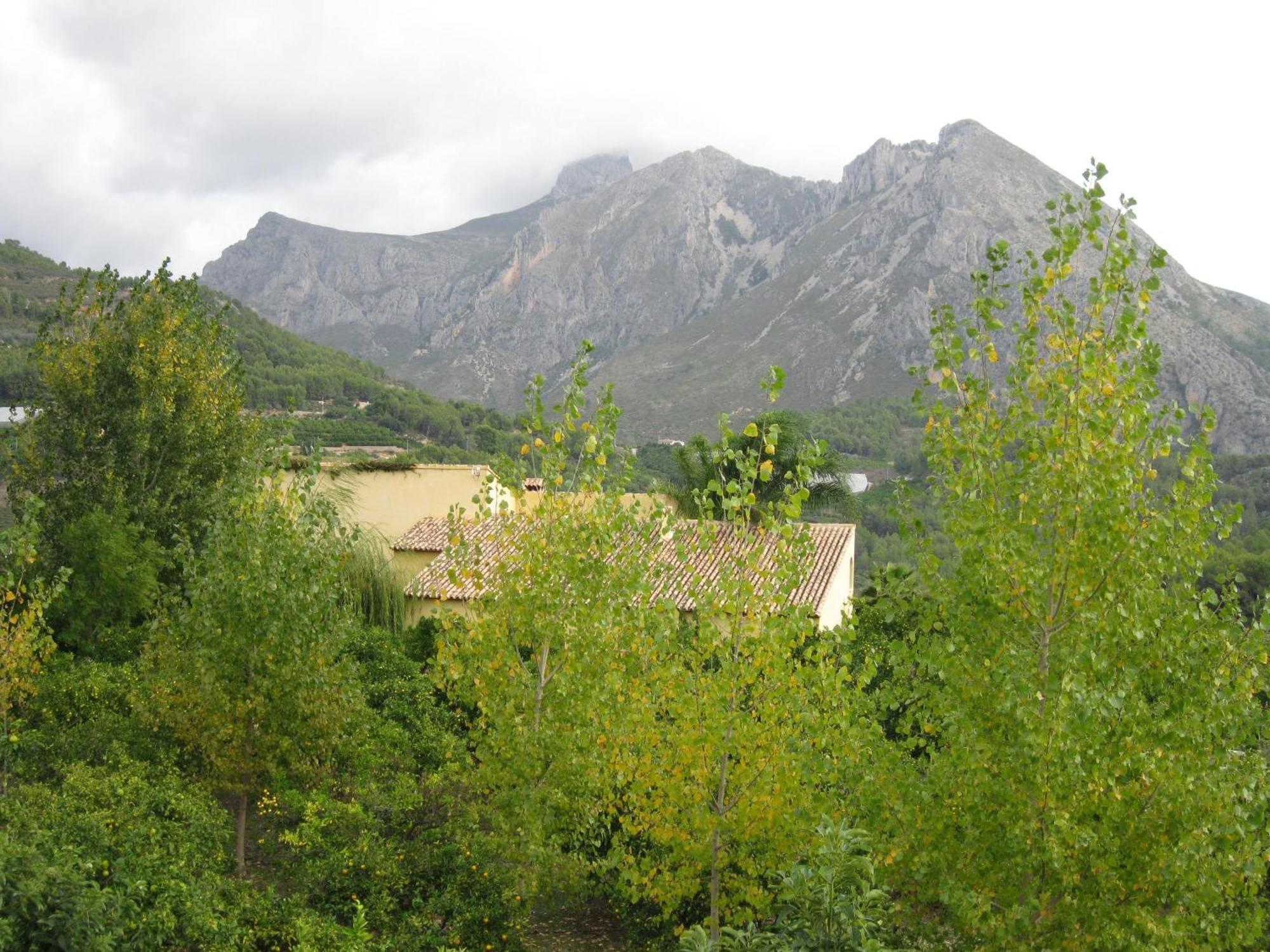 Bed and breakfast Rural Planet Bolulla