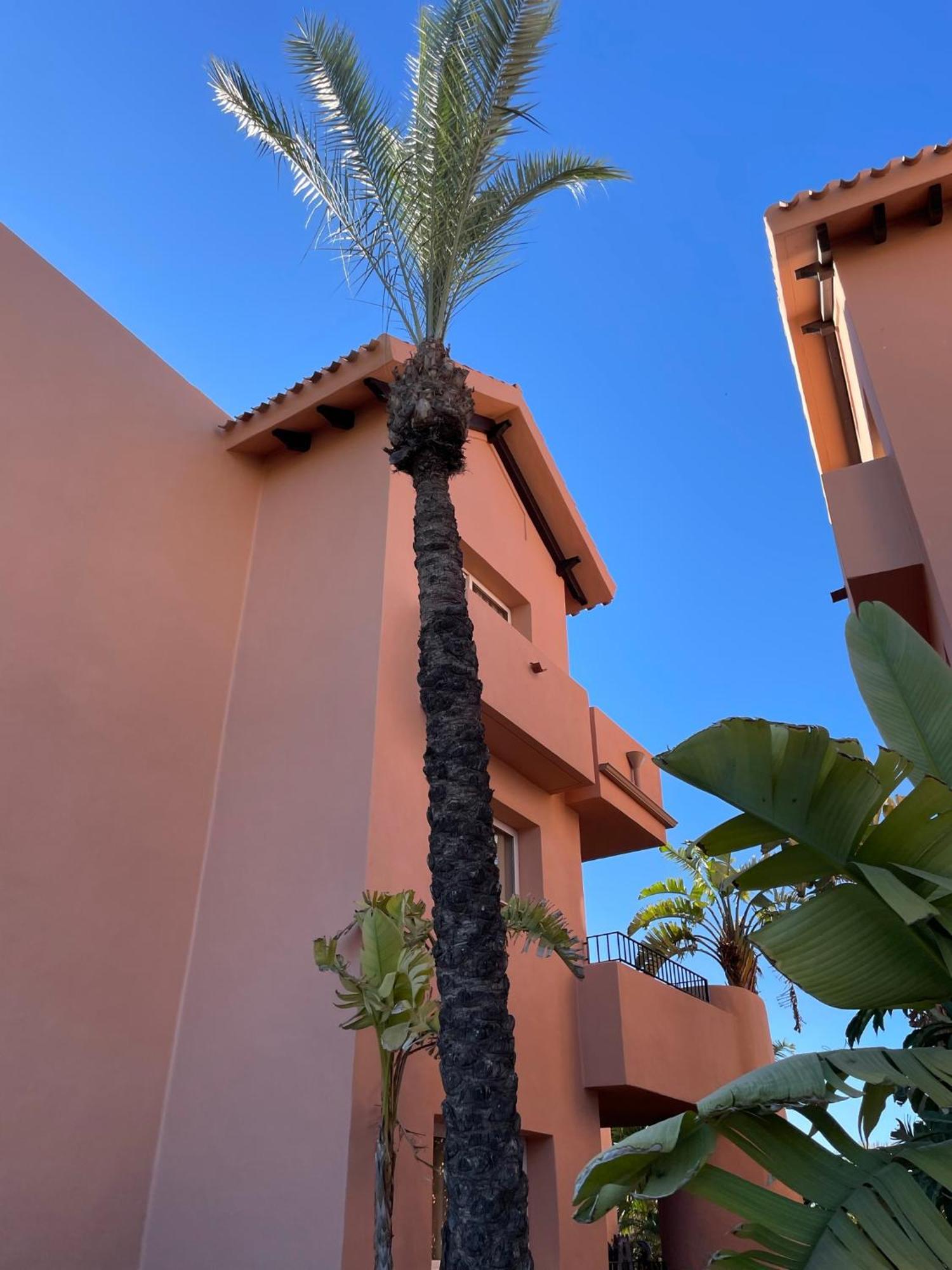 Apartamento Lakeview 'casa Naranjas' Mar Menor Golf And Leisure Torre-Pacheco