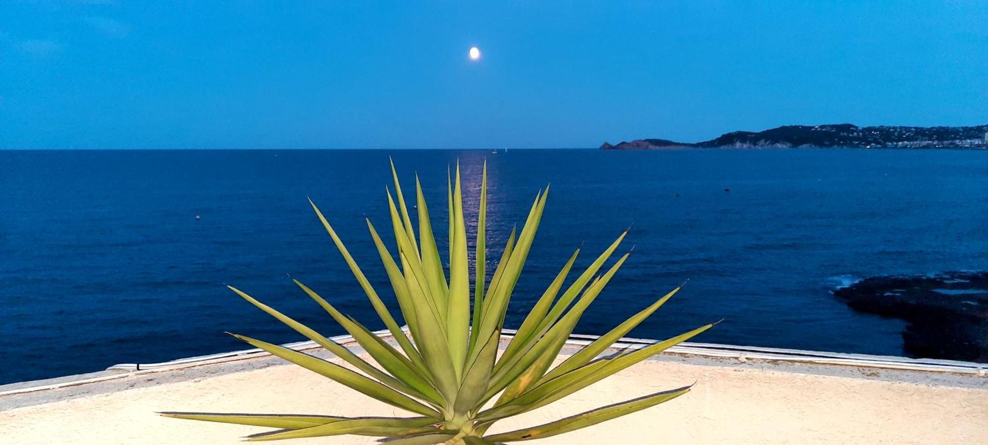 Apartamento La Casa Del Port Jávea