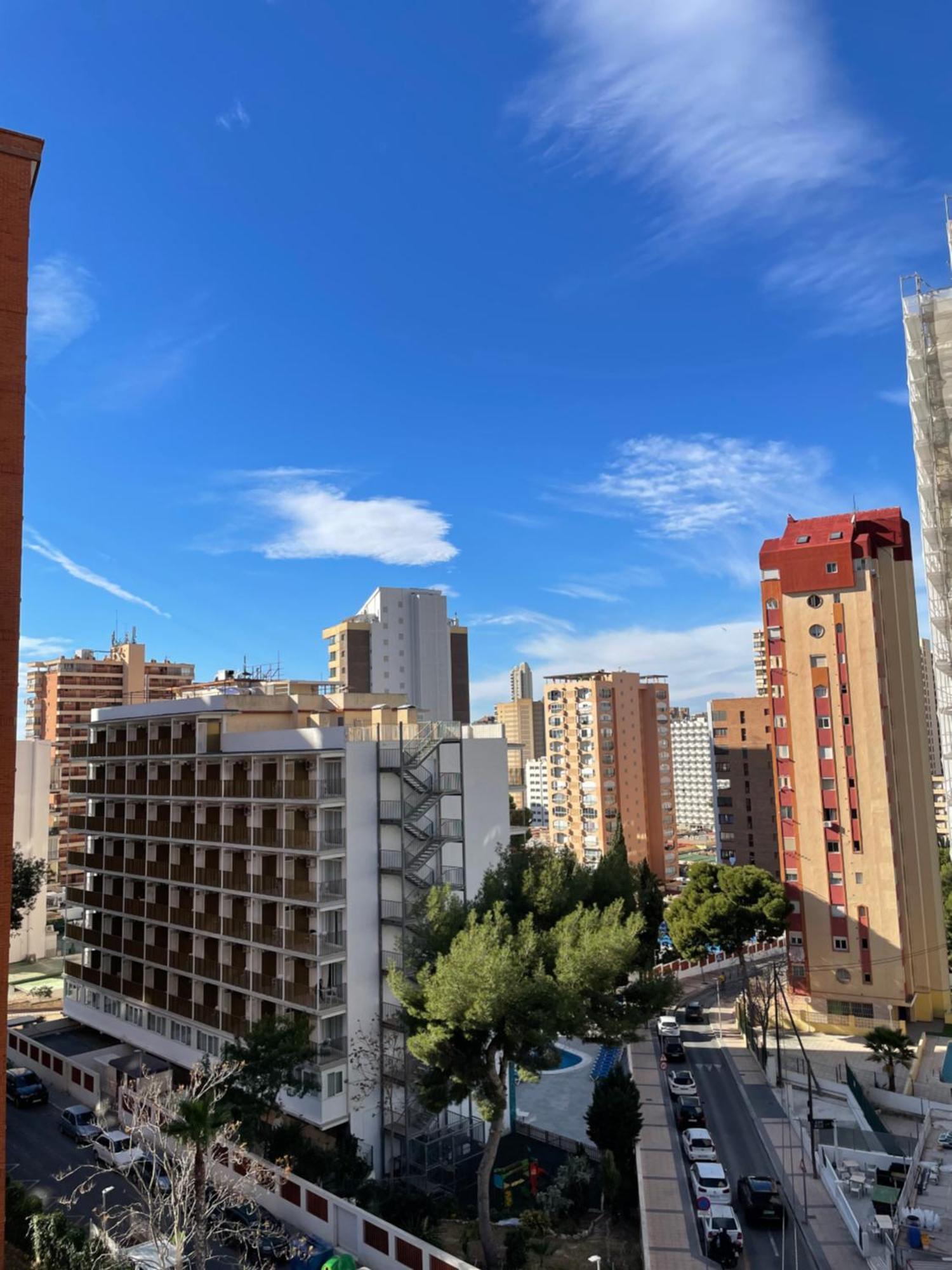 Garden - Turis Apartment Benidorm